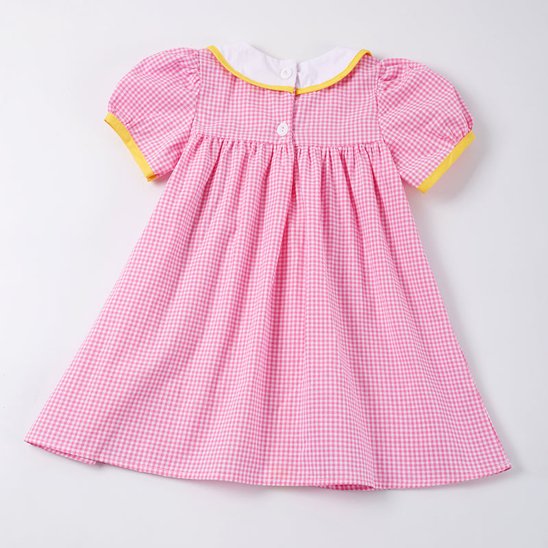 (In Stock E29-02-03)Back to School Pencil Embroidery Woven Dress