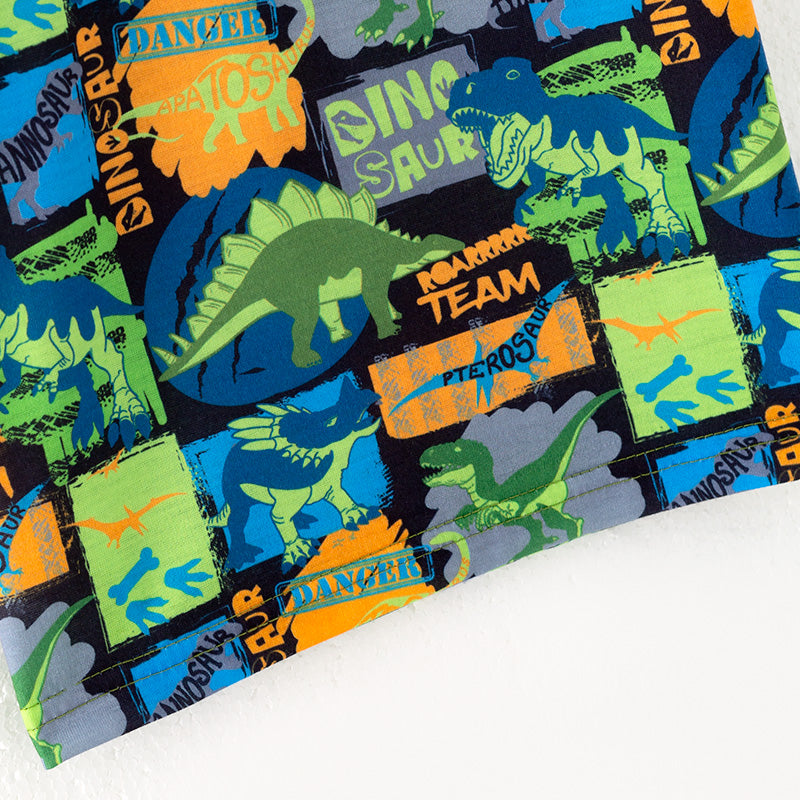 （In Stock）Boys Spring and Summer Dinosaur Print Top