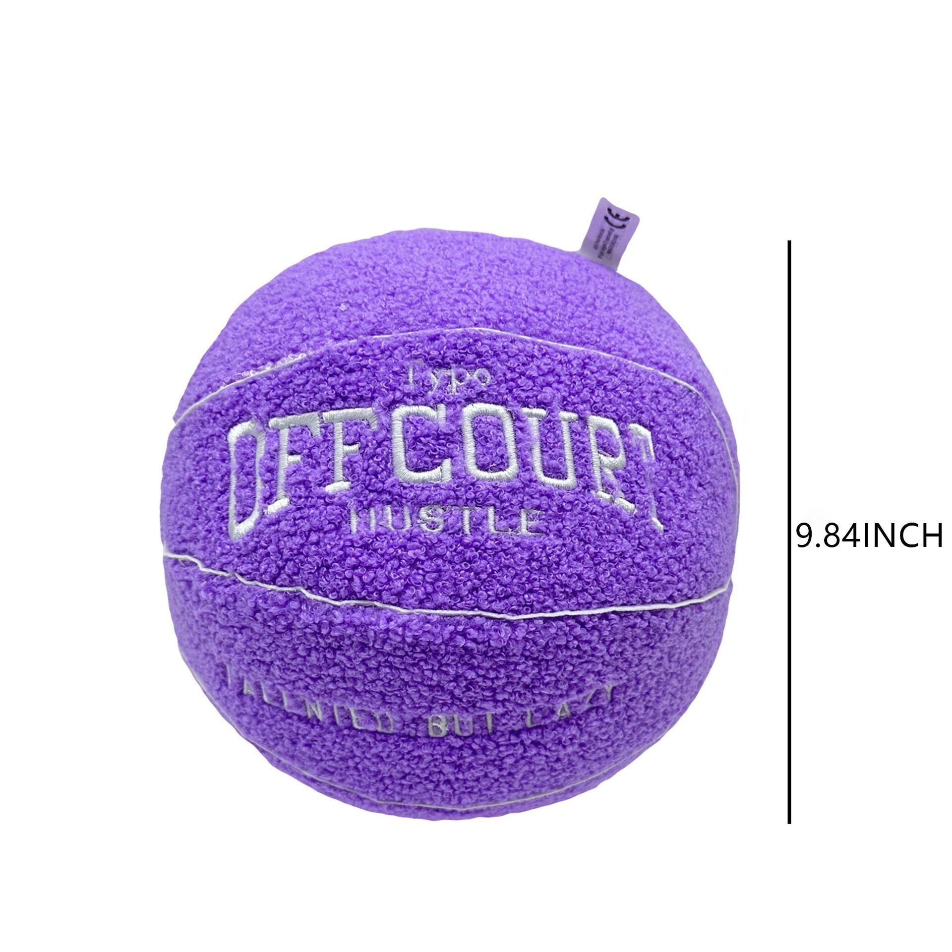 （Pre Order）Off court Basketball Pillow